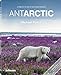ANTARCTIC by 