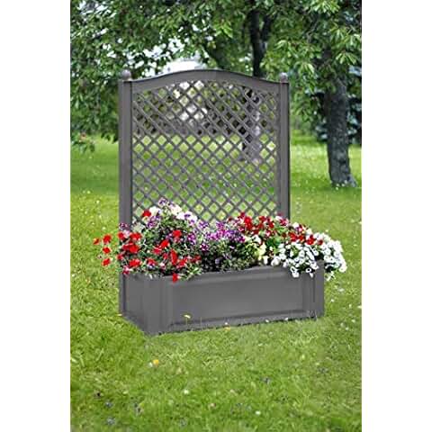 Suchergebnis auf Amazon.de für: spalier: Garten