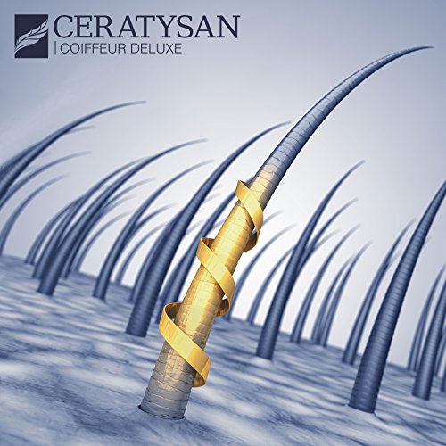 COIFFEUR DELUXE Volumen-Styler ohne Silikon | Starker Halt für Föhn-Frisuren | 10% mehr Volumen durch Keratin | Für feines Haar | 250 ml | Friseur-Produkt - 3