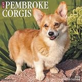 Just Pembroke Corgis 2020 Wall Calendar (Dog Breed Calendar) by