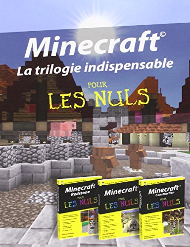 Coffret Minecraft pour les Nuls poche