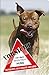 Produktbild +++ American PITBULL Pit Bull Terrier - Metall WARNSCHILD Schild Hundeschild Sign - APT 06 T3