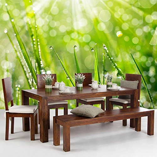Vlies Fototapete PREMIUM PLUS Wand Foto Tapete Wand Bild Vliestapete – Blumen Blüte Natur – no. 199 Natur Gras Wiese Halm Sonne, Größe:350x245cm Vlies - 9