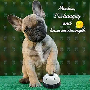 The DDS Store Pet Training Bells Desk Bell Call Bell for Dog Cat Potty Training and Communication Device Pet Interactive Toys-1 Piece Color May Vary