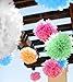 Produktbild 20-Stk. bunte Papier-Pom-Pom-Kugeln, Bommel, Dekorationen von Belle Vous 25,4cm Papierblumen in den Farben Orange, Rosa, Grün, Blau und Weiß - Dekoration für Geburtstagsfeiern, Hochzeitsfeiern und Baby-Partys