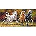 Produktbild Unbekannt Puzzle 4000 Teile - Panorama -  Copy of Born to Run  - Pferde im Galopp / Wildpferde - Panorama Panoramapuzzle - Pferd Stute Hengst Araber Schimmel Mustang ..