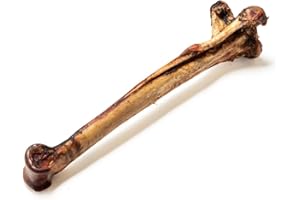 NATURAL TREATS BY PET TREATS WHOLESALE Natural Treats Long Ostrich Metatarsus Bone for Dogs (1pc) Grain-free Low Fat Hypoallergenic Marrow-Filled Dental Chew Treat