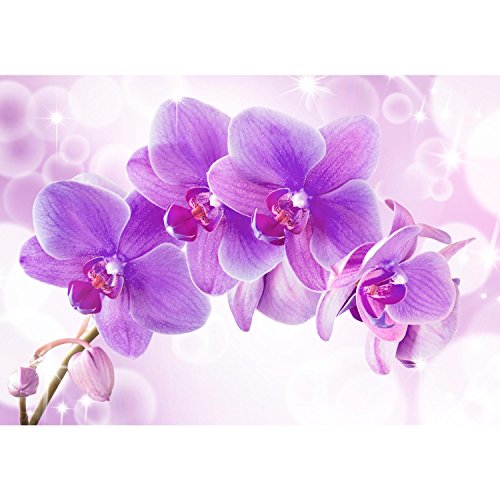 Fototapete Orchidee 352 x 250 cm – Vliestapete – Wandtapete – Vlies Phototapete – Wand – Wandbilder XXL – !!! 100% MADE IN GERMANY !!! Runa Tapete 9012011b - 6
