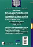 Image de Cálculo termofluidodinámico de filtros de particulas de pared (Temas Avanzados Motores Combustión Interna)