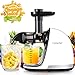Produktbild AMZCHEF Slow Juicer BPA-frei Entsafter Gemüse und Obst Profi Entsafter mit Ruhiger Motor & Umkehrfunktion & Saftkanne & Reinigungsbürste