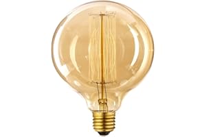 LEDSONE Lampadina vintage Edison, 40 Watt, grande globo a gabbia di scoiattolo, 125 mm, attacco E27 BC, dimmerabile (G125 40 W E27)
