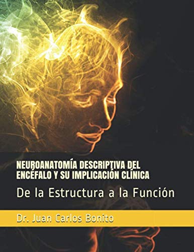 NEUROANATOMÍA DESCRIPTIVA DEL ENCÉFALO Y SU IMPLICACIÓN CLÍNICA: De la Estructura a la Función NEUROANATOMÍA DESCRIPTIVA DEL ENCÉFALO Y SU IMPLICACIÓN CLÍNICA: De la Estructura a la Función