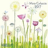 Maria Carluccio 2017 - GreenLine Kalender, liebevoll illustrierter Broschürenkalender - 30 x 30 cm by 