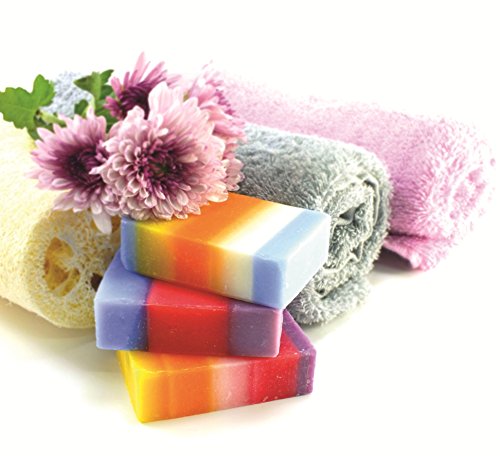 CREARTEC Seifenfarben – Sortiment ( rot , blau , gelb , violett ) - 2