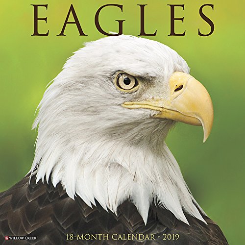 Preisvergleich Produktbild Eagles 2019 Wall Calendar