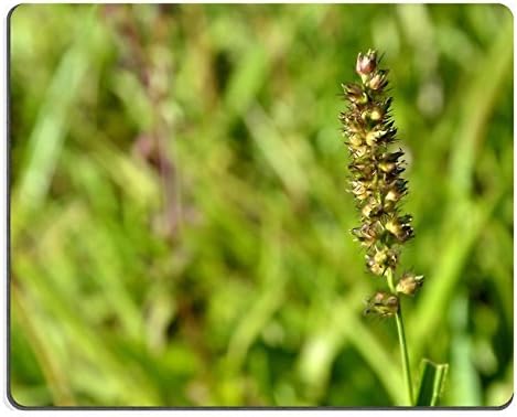 Jun xt Mousepad Pan Kitchenware Teflon Utensil Natural Rubber Material Image 544679