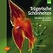 Produktbild Trügerische Schönheiten: Die Welt der wilden Orchideen