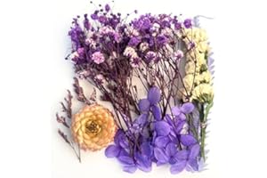 AIYONG Getrocknete Blumen, DIY Trockenblumen, Natürliche Getrocknete Blumen, Trockenblumen Gepresste Blumen für Basteln Epoxidharz Scrapbooking Deko, Kerzenherstellung (Lila)