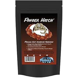 Pangea Hatch - Inkubationssubstrat