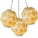 Produktbild WeRChristmas Lichterkette mit Kugeln aus Rosenblüten, Weihnachtsdekoration, 10 LEDs weiß