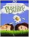 Pushing Daisies - Saison 1 [Blu-ray]