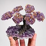 Gewicht: 355.2 Gramm Astro Galerie der Edelsteine Kleine Amethyst mit Citrin Edelstein Bonsai Baum (6 Blütenblätter) auf Amethyst Matrix