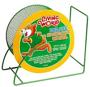 Living World Deluxe Exercise Wheel, Hamster and Small Animal Wheel, Green