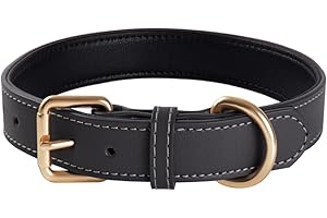 QWBWAN Genuine Leather Padded Dog Collar Comfortable Strong Soft Collars Best for Small Medium and Large Breed Dogs （Grey）(M)