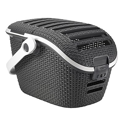 Curver Panier de Transport pour Chien