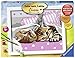 Produktbild Ravensburger 28442 - Malen nach Zahlen-Süßes Kätzchen
