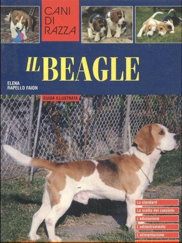 Beagle Beagle
