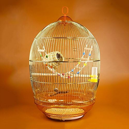 Pet Online Viewing a birdcage Kit Continental large golden retro cages