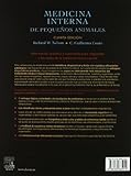 Image de Medicina interna en pequeños animales
