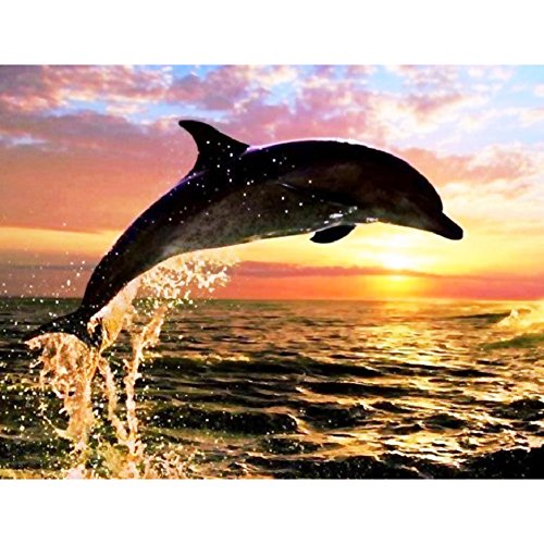 DIY 5D Dolphin Diamond Painting Cross-Stitch for Entrance Living Room Bedroom