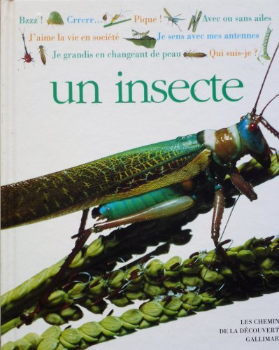 couverture de : Un insecte