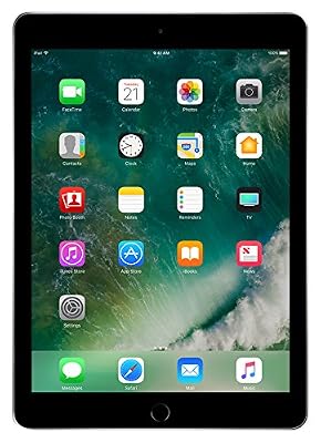 Apple iPad Apple IPAD WIFI 32 GO GRIS SIDERAL