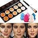 Mefeir 10 Colors Professional Concealer Camouflage Makeup Palette Contour Face Contouring Kit Oblique Head Contour Makeup Brush with Free Makeup Sponge Blender RS.1749.00