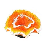 1 x Gelb Weichplastik Korallen Aquarium Ornament Künstliche...