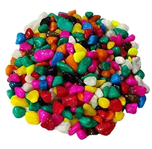 Creative Farmer 10Kg Multi Colored Pebbles/Gravels/Stone Pebbles Stones for Decoration & All Purpose Pack