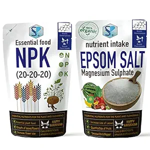 Shiviproducts NPK Fertilizer, 300 g and Epsom Salt, 150 g