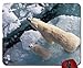 Produktbild B natur Tiere Eisbären 2560 x 1440 wallpapermouse Pad Computer Mauspad