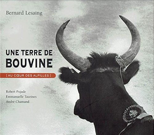 couverture de : Une terre de Bouvine