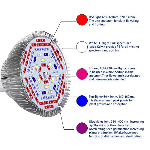 officematters (TM) 15W volles Spektrum LED Wachsendes Licht Glühbirne für Pflanzen, 78 pcs Glühbirnen für alle Phasen des Wachstums von Pflanzen Pflanzenlampen - 3