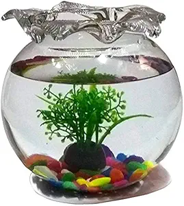Somil Fb07 Round Glass Fish Pot, Clear