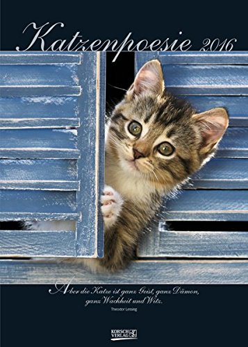 Katzenpoesie 2016