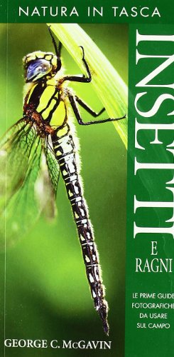 Insetti e ragni Insetti e ragni