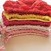 Highdas Baby Girl's Roses Briefs Shorts Rose Flower Ruffle Bloomer Diaper Cover Diaper Pants Pink S