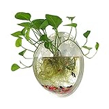 ★ KREATIV: Attraktives, fantastisches Aquarium für die Wandmontage, perfekt für die Dekoration Ihres Zuhauses als Blumentopf für die Wandmontage, zur Präsentation Ihres Fisches, zur Maximierung der Nutzung Ihres Zuhauses oder Büroraums.