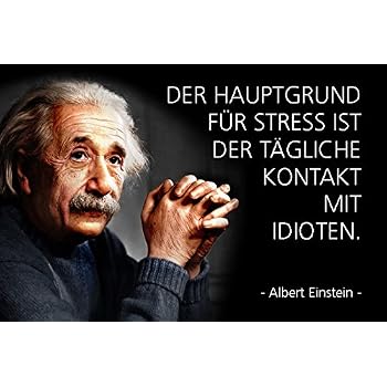 Blechschild 20 X 30 Cm Einstein Zitat Hauptgrund Für Stress Sind