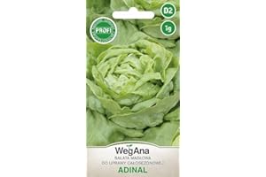 WegAna Butterhead Lettuce Adinal Seeds 1g, Lechuga Verde, Lechuga Butterhead, Semillas de Hortalizas Robustas, Semillas de Hortalizas, Semillas de Cultivo, Semillas de Invernadero